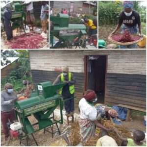 Sud-Kivu : la CAPAFB récolte haricots et soja grâce à la mécanisation