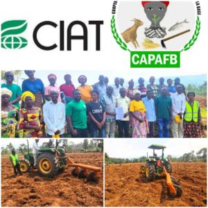 CAPAFB Sud-Kivu et CIAT-PABRA : Un partenariat pour la multiplication des semences et la lutte contre l’insécurité alimentaire